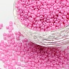 (Repacking Service Available) Baking Paint Glass Seed Beads SEED-C024-C-K2-1