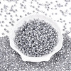 Glass Seed Beads SEED-N007-01K-2