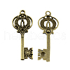 Tibetan Style Alloy Pendants TIBEP-A25043-AB-FF-1