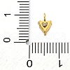 304 Stainless Steel Micro Pave Cubic Zirconia Pendants STAS-U042-02A-G-3