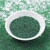 MIYUKI Round Rocailles Beads SEED-X0054-RR0173-2