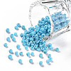 (Repacking Service Available) Glass Seed Beads SEED-C019-3mm-43-1