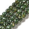 Freshwater Shell Beads Strands BSHE-L039-08B-06-1