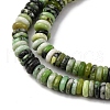 Natural Serpentine Jade Beads Strands G-L624-H13-6x2mm-4
