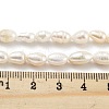 Natural Keshi Pearl Cultured Freshwater Pearl Beads Strands PEAR-P062-34-5
