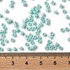 Baking Paint Glass Seed Beads X-SEED-S042-15A-09-4
