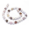 Natural Ocean Jasper Beads Strands G-O201A-15B-2