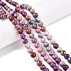 Natural Imperial Jasper Beads Strands G-N342-63I-4