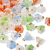  80Pcs 5 Colors Handmade Lampwork Charms FIND-TA0002-77-3
