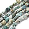 Raw Rough Natural Variscite Beads Strands G-L624-B02-A-1