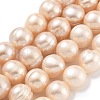 Natural Cultured Freshwater Pearl Beads Strands PEAR-C003-21D-2