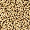 TOHO Round Seed Beads SEED-XTR08-PF0557F-2