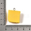 Opaque Resin Pendants CRES-D307-01P-4