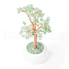 Mother's Day Natural Green Aventurine Chips with Brass Wrapped Wire Money Tree on Ceramic Vase Display Decorations DJEW-B007-02A-3