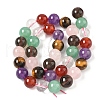 Natural Mixed Gemstone Beads Strands G-P574-A02-10mm-3