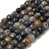 Natural Sodalite Beads Strands G-A097-D01-06-1