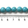 Synthetic Turquoise Beads TURQ-H033-1-8