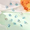 Preciosa® MAXIMA Crystal Fancy Stones X-PRC-FE14-60010-2