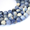 Natural Sodalite Round Bead Strands G-E334-8mm-08-1