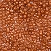 Baking Paint Glass Seed Beads SEED-L011-09A-25-3