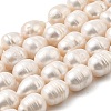 Natural Cultured Freshwater Pearl Beads Strands PEAR-I007-01I-02A-2