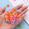 Transparent Acrylic Beads X-MACR-S373-02E-5