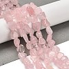 Natural Rose Quartz Beads Strands G-P497-01E-79B-2