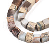 Natural Aqua Terra Jasper Beads Strands G-T140-43A-3