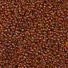 TOHO Round Seed Beads X-SEED-TR11-0303-2