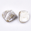 Freshwater Shell Beads X-SSHEL-T005-11-3