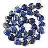 Natural Lapis Lazuli Beads Strands G-B044-B19-01-3