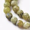 Natural Yellow Turquoise(Jasper) Beads Strands G-Q462-10mm-22-3