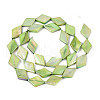 Dyed Natural Freshwater Shell Beads Strands SHEL-T020-13E-2