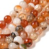 Natural Agate(Dyed & Heated) Beads Strands G-H066-B05-02-2