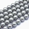 Shell Pearl Beads Strands BSHE-L026-05-8mm-2