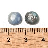 Natural Kyanite/Cyanite/Disthene Cabochons G-B146-03-8mm-3
