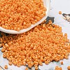 Baking Paint Glass Seed Beads SEED-S042-05A-30-1