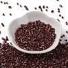 Baking Paint Glass Seed Beads X-SEED-S042-15A-19-2