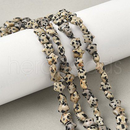 Natural Dalmatian Jasper Star Beads Strands G-Z080-A08-1