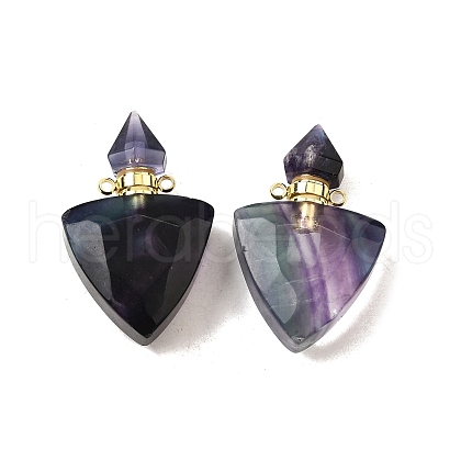 Natural Fluorite Perfume Bottle Pendants G-L623-10G-03-1