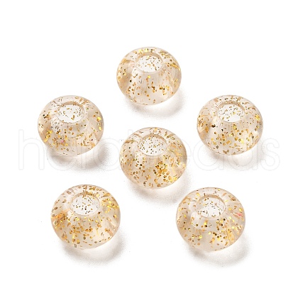Transparent Acrylic European Beads TACR-P009-A01-03-1