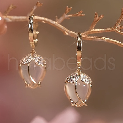 Alloy Clear Cubic Zirconia Dangle Earrings FS-WGAEA82-01-1