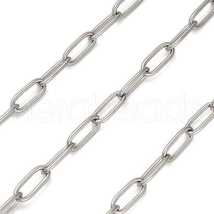 Stainless Steel Oval Paperclip Chains CHS-G040-01A-P-1