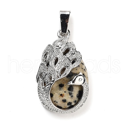 Natural Dalmatian Jasper Teardrop Pendants G-G112-03P-03-1