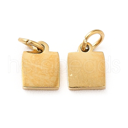 Ion Plating(IP) 304 Stainless Steel Charms STAS-G295-51A-G-1