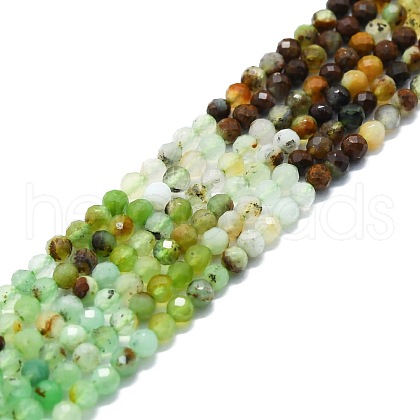 Natural Chrysoprase Beads Strands G-P457-A02-28-1