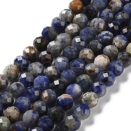 Natural Sodalite Beads Strands G-J400-E09-03-1