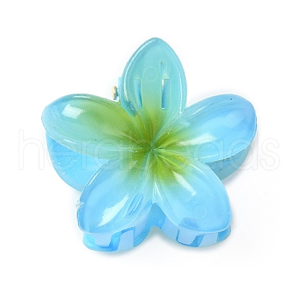 Plastic Claw Hair Clips PW-WG07B2B-05-1