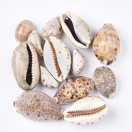 Cowrie Shell Pendants SSHEL-T008-27-1