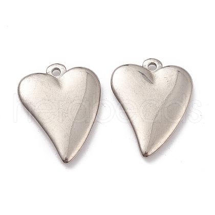 Non-Tarnish 304 Stainless Steel Pendants STAS-G244-23P-1